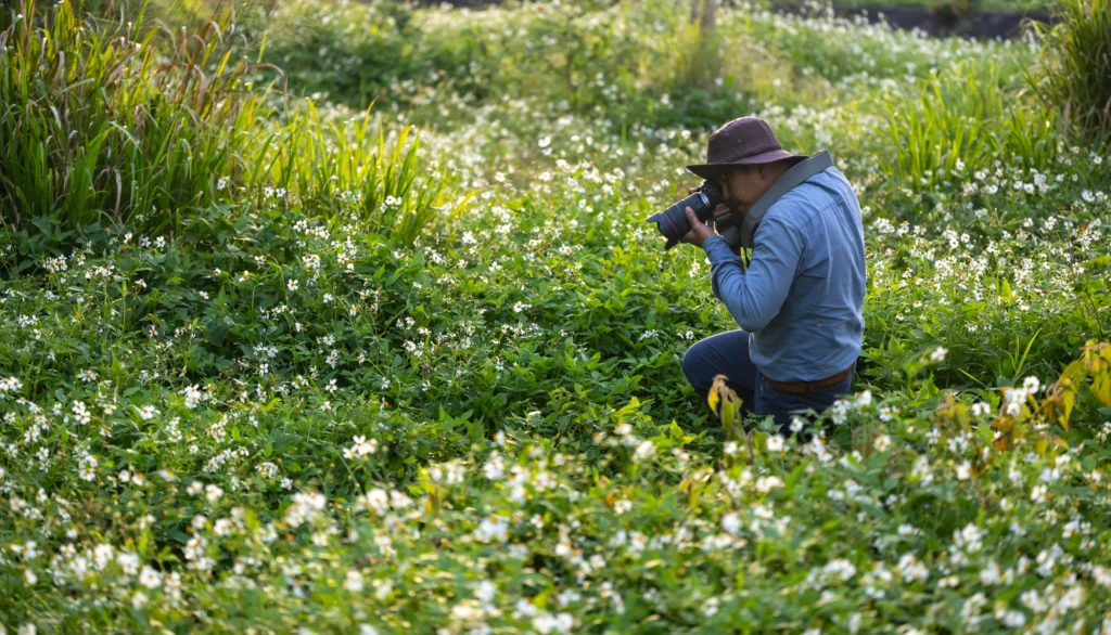 Field researcher photographing plants in a flower-filled meadow.